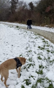 PATMAN mit Luna und Iris im Schnee