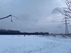 Winter in der Lobau